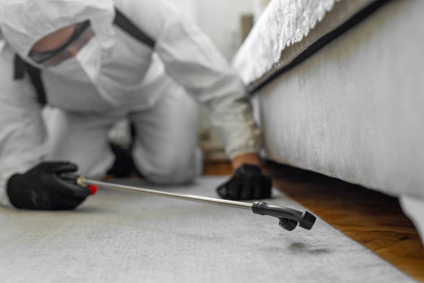 Professional Bed Bug Control technician working in Bellville, OH