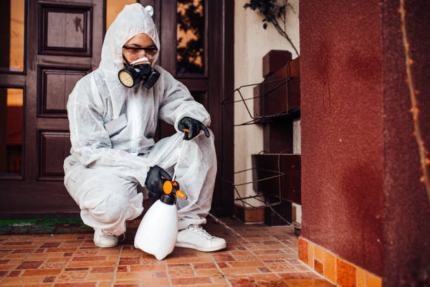 Reliable Bed Bug Control contractor in Bellville, OH by Nex Pest Control